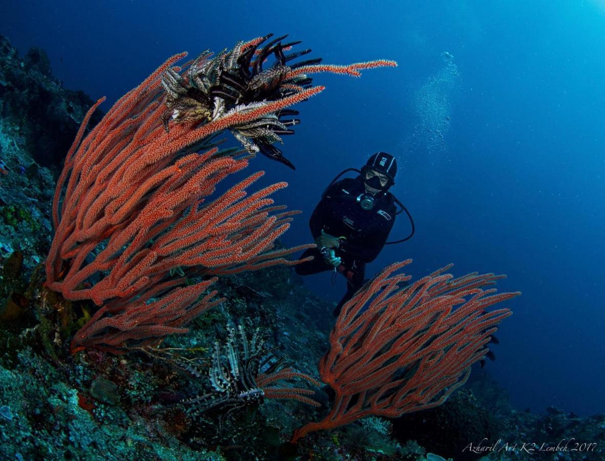K2 Lembeh Dive Resort Bitung Exteriör bild